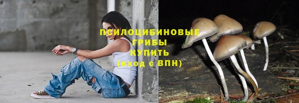 spice Алексеевка